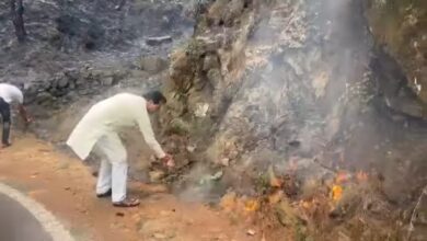 कैबिनेट मंत्री ने बुझाई सड़क किनारे लगी आग