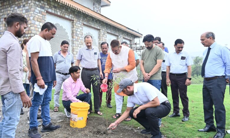 पेड़ों पौधों के कटान से सुख रहे जल स्रोत पेड़ों पौधों के कटान से सुख रहे जल स्रोत