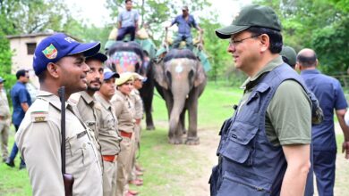 कार्बेट नेशनल पार्क में सीएम धामी का रोमांचकारी सफारी अनुभव