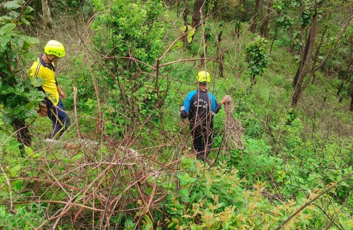 भतरोजखान में टेंपो ट्रैवलर खाई में गिरा, एक की मौत, एक घायल 