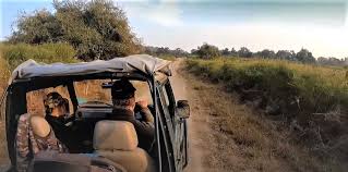 कार्बेट टाइगर रिजर्व में गूंजेगा फिर रोमांच — 15 अक्तूबर से बिजरानी जोन में शुरू होगी जंगल सफारी