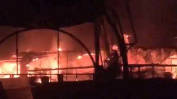 अरपोरा नाइट क्लब त्रासदी: सिलेंडर ब्लास्ट से मची तबाही, 23 से अधिक जानें गईं अरपोरा नाइट क्लब त्रासदी: सिलेंडर ब्लास्ट से मची तबाही, 23 से अधिक जानें गईं