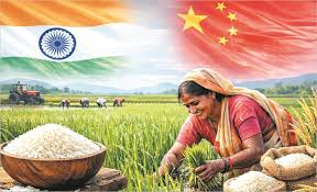 2025 में भारत ने रचा इतिहास, चावल उत्पादन में चीन को दी मात