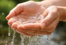 विश्व जल दिवस पर बड़ा संदेश: पीएम मोदी बोले—जल है तो कल है, हर नागरिक को पानी बचाने की दिशा में करना होगा प्रयास