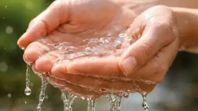 विश्व जल दिवस पर बड़ा संदेश: पीएम मोदी बोले—जल है तो कल है, हर नागरिक को पानी बचाने की दिशा में करना होगा प्रयास