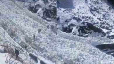 केदारनाथ यात्रा मार्ग पर ग्लेशियर हादसा, बर्फ हटाने में जुटा प्रशासन