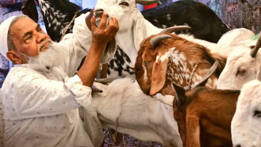 ईद-उल-जुहा अवकाश में बदलाव: उत्तराखंड हाईकोर्ट और सरकारी दफ्तर 28 मई को रहेंगे बंद